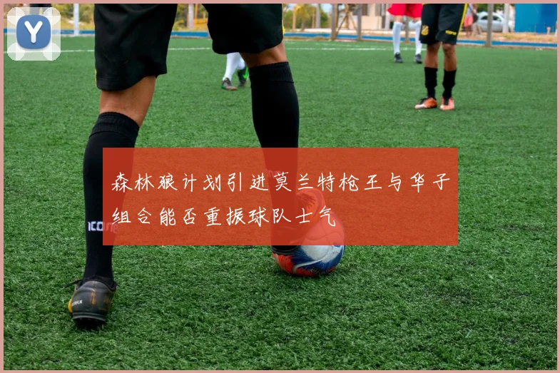 森林狼计划引进莫兰特枪王与华子组合能否重振球队士气